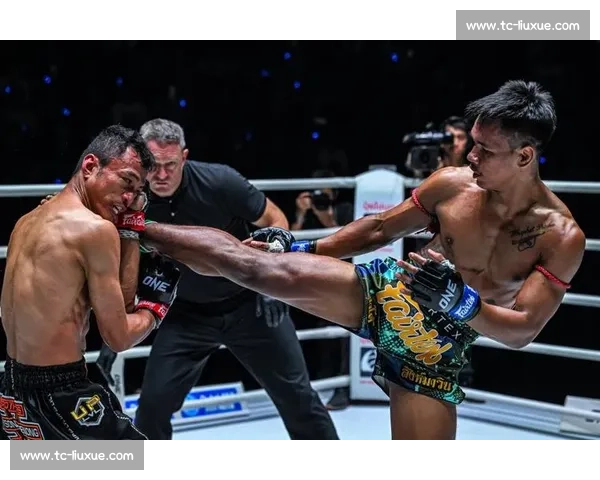 武林风巅峰对决西提猜迎战科尔谁主沉浮燃爆全场一战定王者之夜终